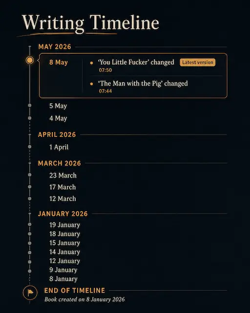 Timeline showing the writing history of my first book